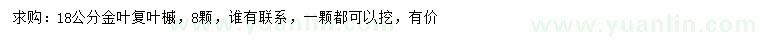 求購18公分金葉復葉槭