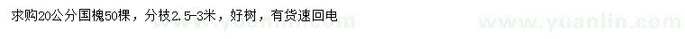 求購20公分國槐