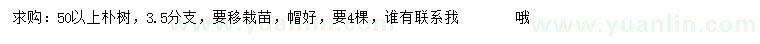 求購50公分以上樸樹(shù)