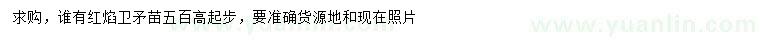 求購紅焰衛(wèi)矛苗