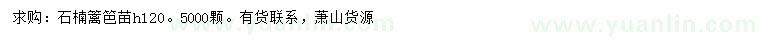 求購高120公分石楠