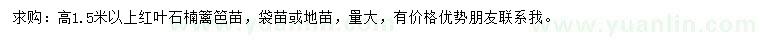 求購(gòu)高1.5米以上紅葉石楠籬笆苗