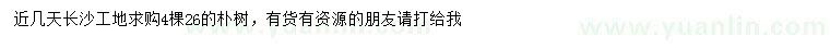 求購26公分樸樹