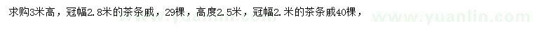 求購高2.5、3米茶條槭
