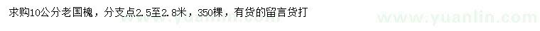 求購10公分老國槐