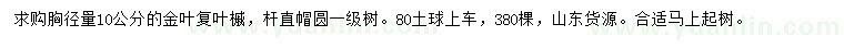 求購胸徑10公分金葉復葉槭
