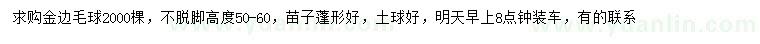 求購高50-60公分金邊毛球