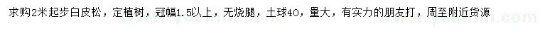 求購2米以上白皮松