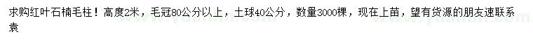 求購高2米紅葉石楠毛柱