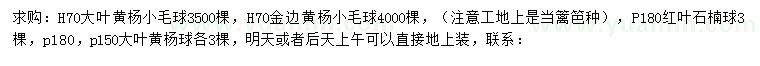 求購大葉黃楊小毛球、金邊黃楊小毛球、紅葉石楠球等
