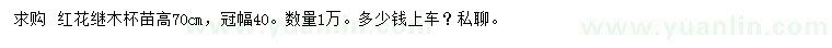 求購高70公分紅花繼木