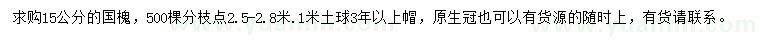 求購15公分國槐