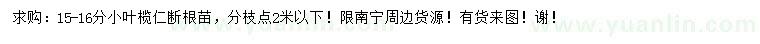 求購15-16公分小葉欖仁