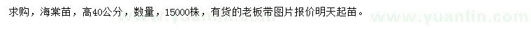 求購高40公分海棠苗