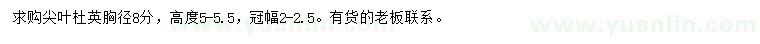 求購胸徑8分尖葉杜英