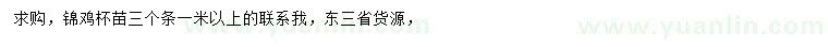 求購1米以上錦雞苗