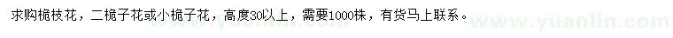 求購高30公分以上桅枝花、二桅子花/小桅子花