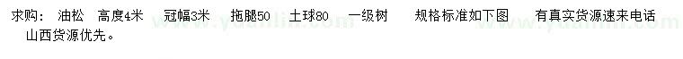 求購冠幅3米油松