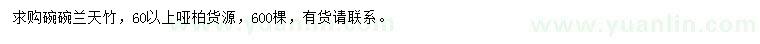 求購60公分以上蘭天竹