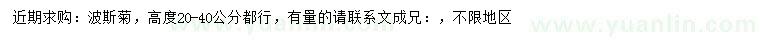 求購高20-40公分波斯菊
