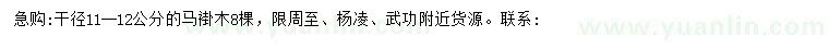 求購(gòu)11-12公分馬褂木