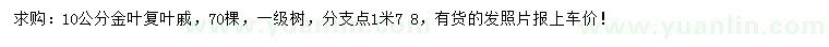求購(gòu)10公分金葉復(fù)葉槭