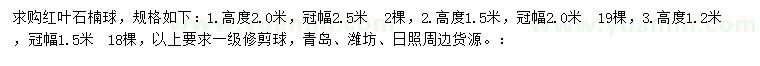 求購高2、1.5、1.2米紅葉石楠球