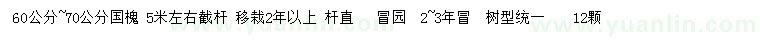 求購60-70公分國槐