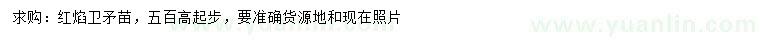 求購(gòu)紅焰衛(wèi)矛