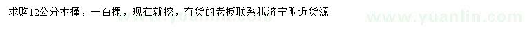 求購12公分木槿
