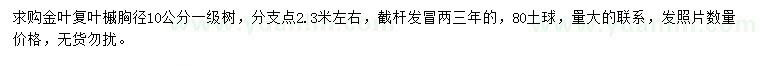 求購胸徑10公分金葉復(fù)葉槭