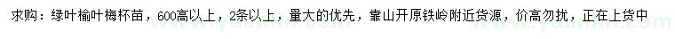 求購(gòu)高600公分以上綠葉榆葉梅