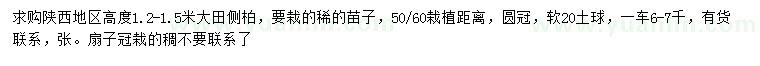 求購(gòu)高1.2-1.5米側(cè)柏