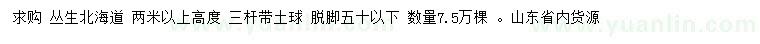 求購高2米以上叢生北海道