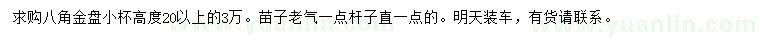 求購高20公分以上八角金盤(pán)