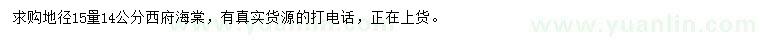 求購地徑15量14公分西府海棠