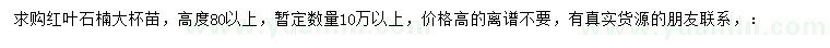 求購高80公分以上紅葉石楠