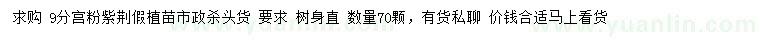 求購9公分宮粉紫荊