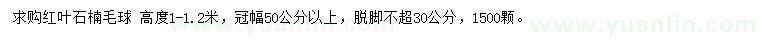 求購冠幅50公分以上紅葉石楠球