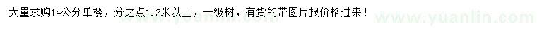 求購購14公分單櫻