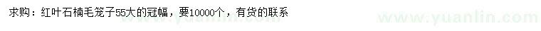 求購冠幅55公分紅葉石楠