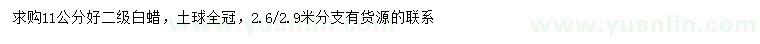 求購11公分白蠟