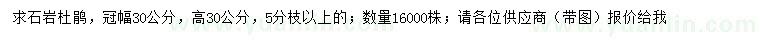 求購高30公分石巖杜鵑