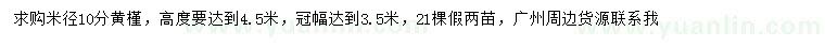 求購米徑10公分黃槿
