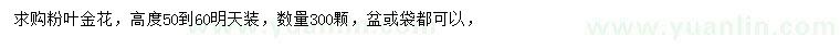求購高50-60公分粉葉金花