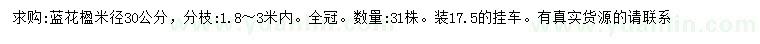 求購米徑30公分藍花楹