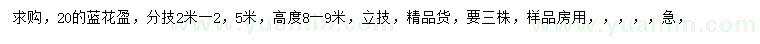 求購20公分藍花楹