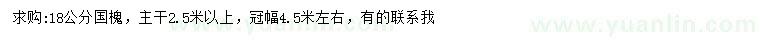 求購18公分國槐