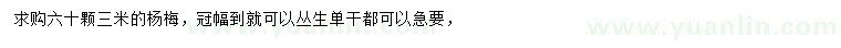 求購3米楊梅