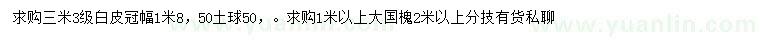 求購3米白皮松、1米以上國槐
